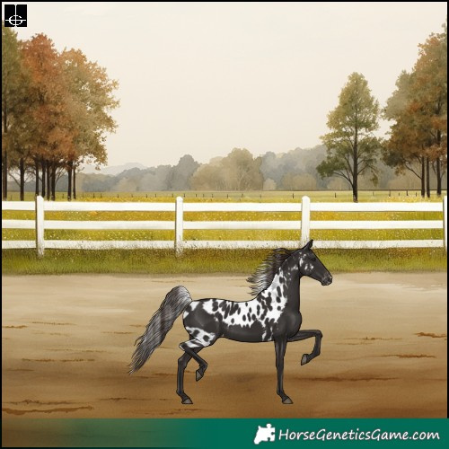 Horse Color:Liver Chestnut Skewed LP Spotted Rabicano