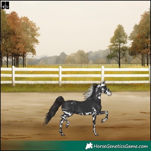 Horse Color:Liver Chestnut Tobiano Skewed LP Spotted Rabicano