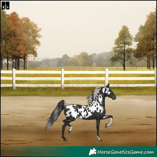 Horse Color:Liver Chestnut Tobiano Skewed Appaloosa Rabicano 