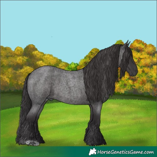 Horse Color:Smoky Blue Roan