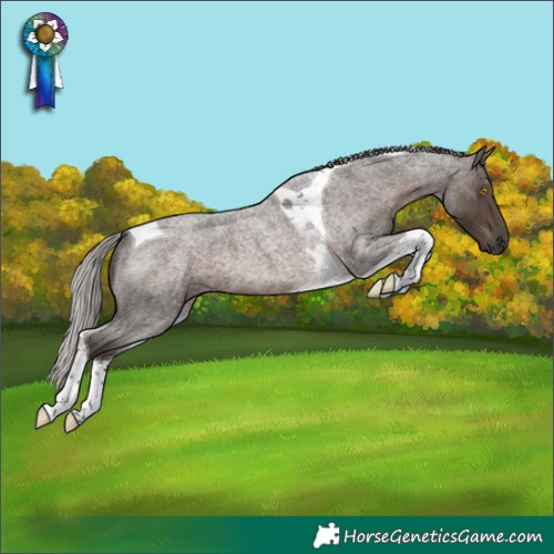 Horse Color:Silver Blue Roan Tobiano Rabicano