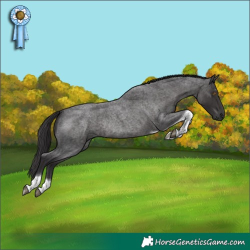 Horse Color:Smoky Blue Roan Tobiano Rabicano 