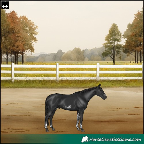 Horse Color:Liver Chestnut Tobiano Frame Rabicano