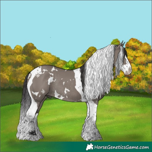 Horse Color:White Spotted Smoky Grullo Splash Tobiano Rabicano