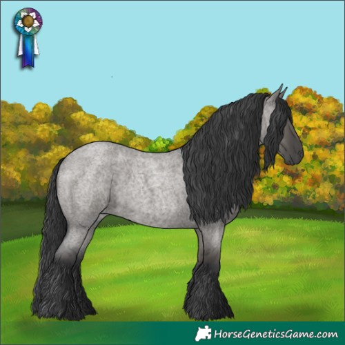Horse Color:Grullo Roan Rabicano 