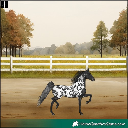Horse Color:Liver Chestnut Skewed LP Spotted Rabicano 