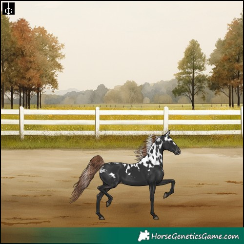 Horse Color:Liver Chestnut Skewed LP Spotted Rabicano 
