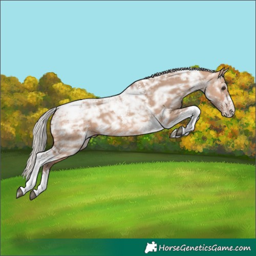 Horse Color:Powder White Silver Bay Ice Dun Tobiano Rabicano