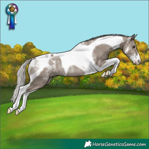 Horse Color:Powder White Silver Grullo Tobiano Rabicano