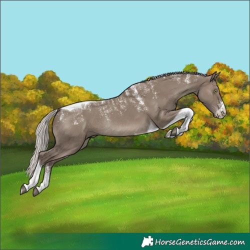 Horse Color:Powder White Silver Grullo Tobiano Rabicano