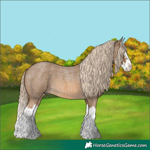 Horse Color:Chocolate Palomino Roan Splash