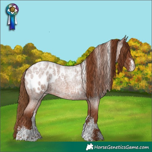 Horse Color:Powder White Red Roan Appaloosa 
