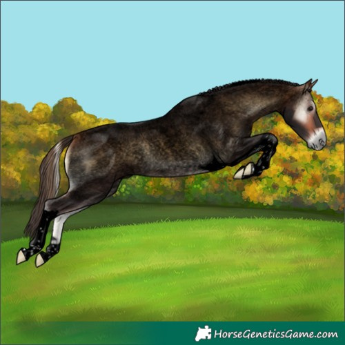 Horse Color:Void Buckskin Roan Onyx Tobiano 