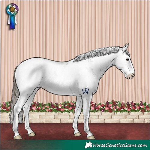 Horse Color:Smoky Grullo Sabino Appaloosa