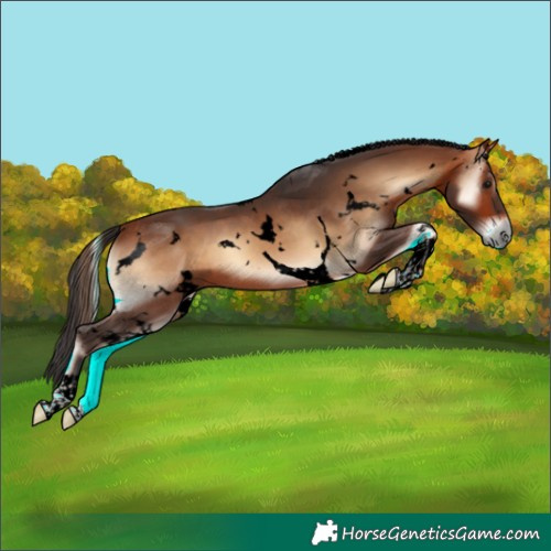 Horse Color:Void White Spotted Bay Onyx Tobiano 