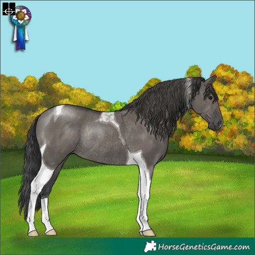 Horse Color:Grullo Tobiano Rabicano