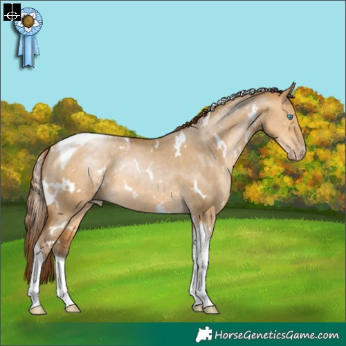 Horse Color:Gray White Spotted Buckskin Pearl Dun Tobiano 