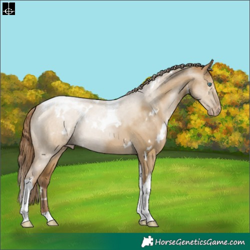 Horse Color:Gray White Spotted Smoky Grullo Pearl Tobiano 