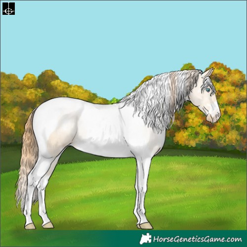 Horse Color:White Spotted Smoky Grullo Pearl Tobiano Rabicano