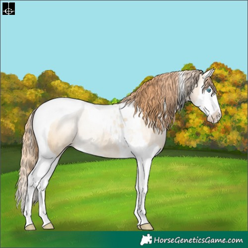 Horse Color:Smoky Grullo Pearl Splash Tobiano Rabicano