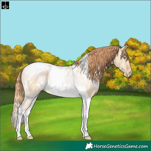 Horse Color:White Spotted Smoky Grullo Pearl Tobiano Rabicano