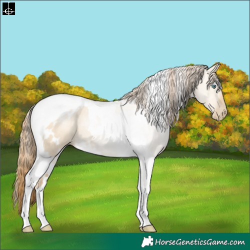 Horse Color:White Spotted Smoky Grullo Pearl Tobiano Rabicano