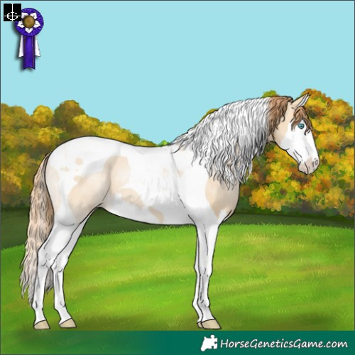 Horse Color:Smoky Grullo Pearl Splash Tobiano 
