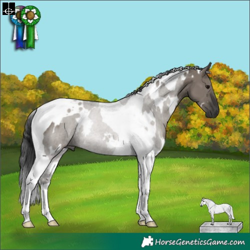 Horse Color:Gray White Spotted Grullo Tobiano