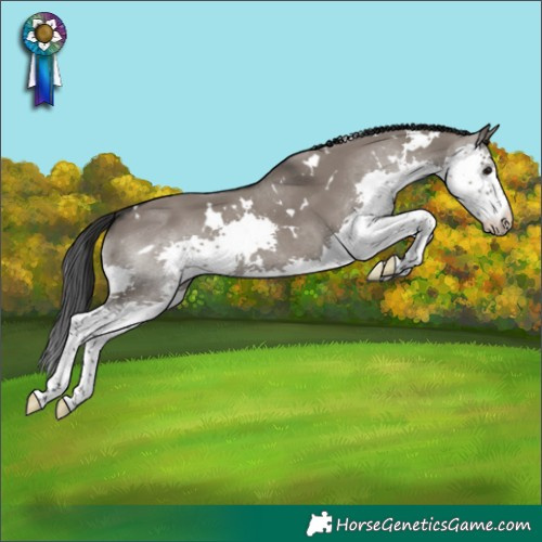 Horse Color:White Spotted Grullo Splash 
