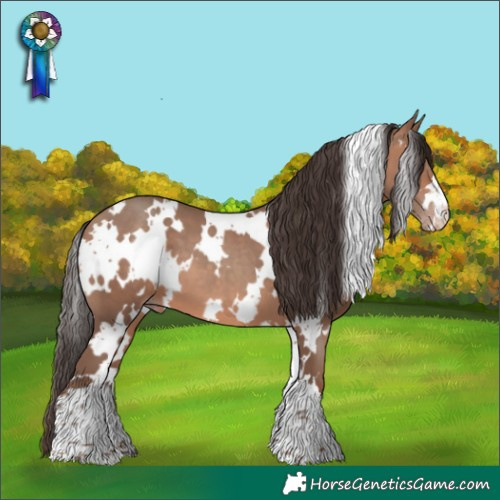 Horse Color:White Spotted Sable Champagne 