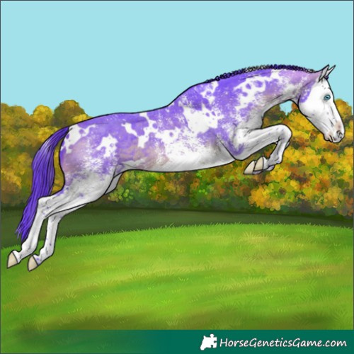 Horse Color:Watercolor White Spotted Brown Splash 