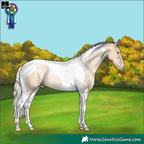 Horse Color:Silver Smoky Grullo Pearl Tobiano Rabicano