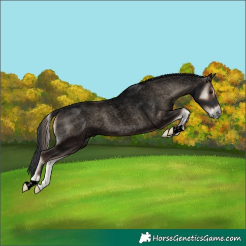 Horse Color:Void Blue Onyx Roan