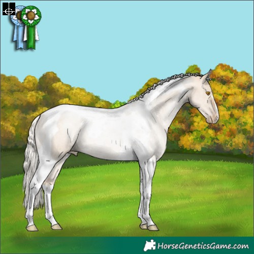 Horse Color:Silver Grullo Pearl Tobiano Rabicano 