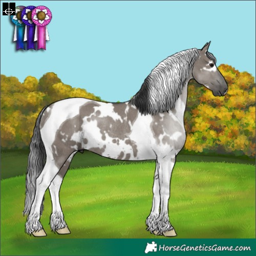 Horse Color:White Spotted Grullo Tobiano Rabicano 
