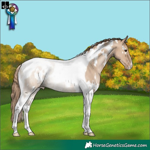 Horse Color:White Spotted Grullo Pearl Tobiano Rabicano 