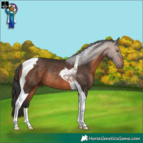 Horse Color:Brown Tobiano Rabicano 