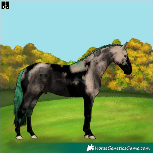 Horse Color:Void Watercolor Grullo Sabino Tobiano