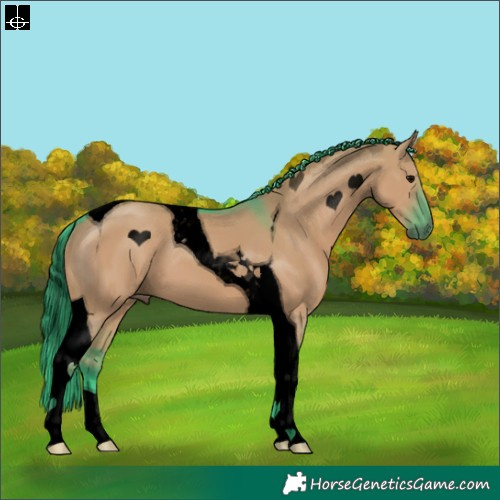 Horse Color:Void Watercolor Grullo Tobiano