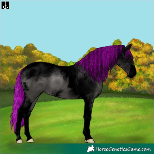 Horse Color:Void Painted Black Sabino Tobiano