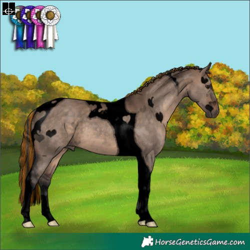 Horse Color:Void Painted Brown Dun Tobiano 