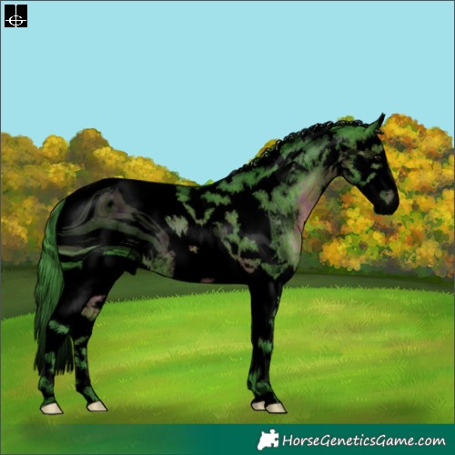 Horse Color:ERROR: UNKNOWN ANOMALY