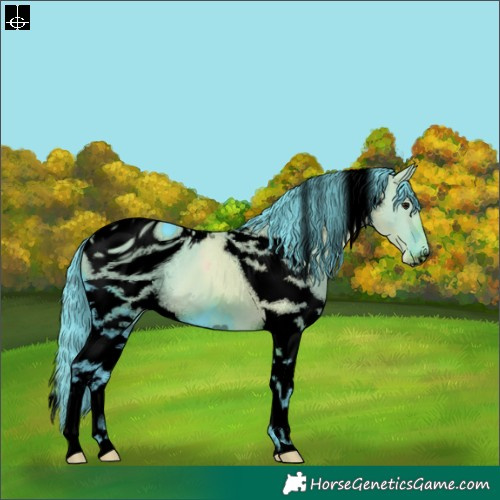 Horse Color:ERROR: UNKNOWN ANOMALY
