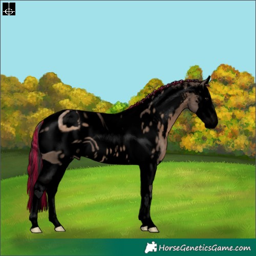 Horse Color:ERROR: UNKNOWN ANOMALY