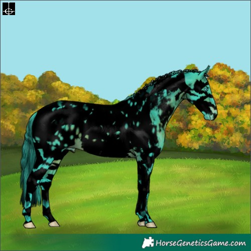 Horse Color:Void Watercolor Brown Splash Tobiano Blanket