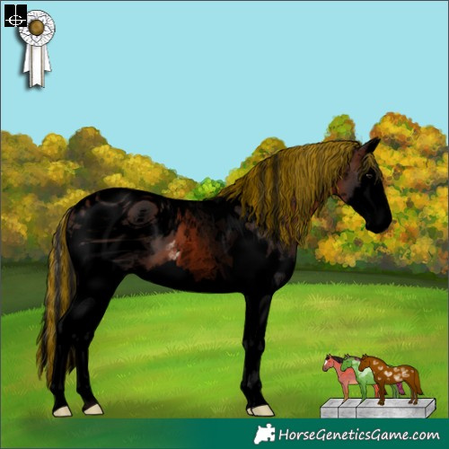Horse Color:ERROR: UNKNOWN ANOMALY