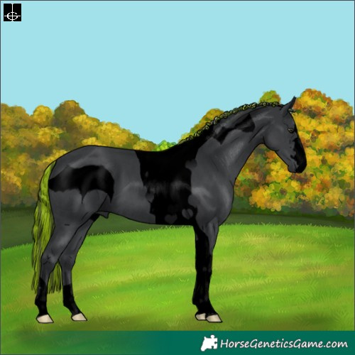 Horse Color:ERROR: UNKNOWN ANOMALY