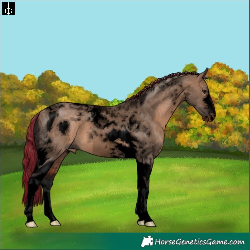 Horse Color:ERROR: UNKNOWN ANOMALY