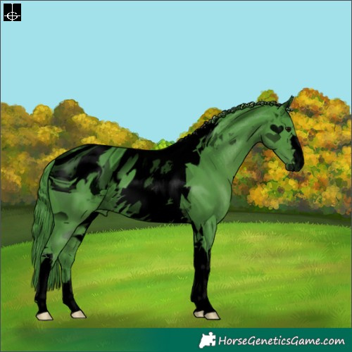Horse Color:ERROR: UNKNOWN ANOMALY