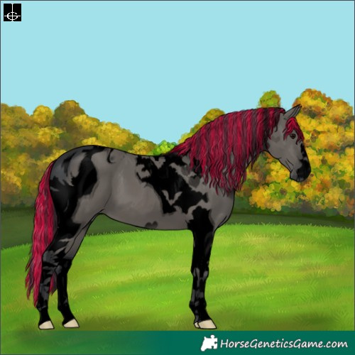 Horse Color:ERROR: UNKNOWN ANOMALY